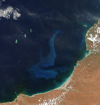 NASA MODIS Image of the Day: January 4, 2010 – Phytoplankton Bloom off Northwestern Australia