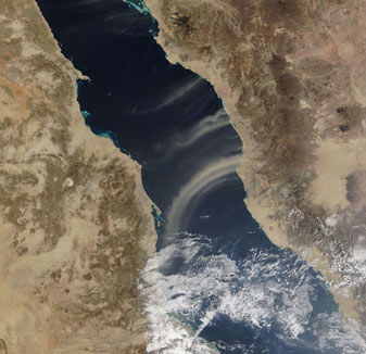 NASA MODIS Image of the Day: January 20, 2009 – Dust Plumes over the Red Sea
