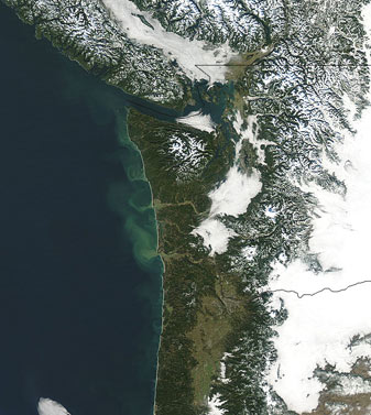 NASA MODIS Image of the Day: January 25, 2009 – Sediment off the Coast of Washington