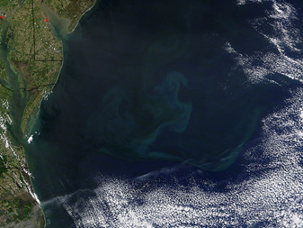 NASA MODIS Image of the Day: April 22, 2010 – Phytoplankton Bloom off the DelMarVa Peninsula