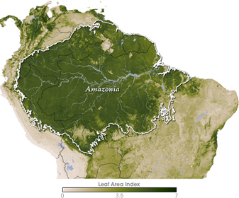 NASA MODIS Image of the Day: May 29, 2007 – Leaf Area Index, South America