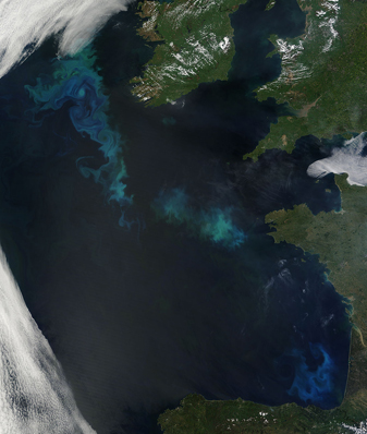 NASA MODIS Image of the Day: May 31, 2010 – Phytoplankton Blooms in the North Atlantic