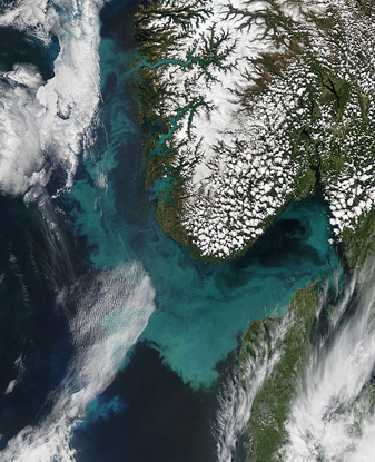 NASA MODIS Image of the Day: June 9, 2010 – Phytoplankton Bloom in the North Sea