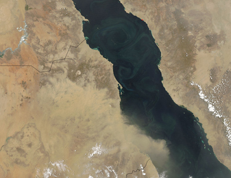 NASA MODIS Image of the Day: June 26, 2010 – Sahara Dust Over the Red Sea