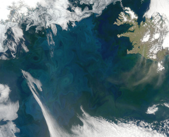 NASA MODIS Image of the Day: July 9, 2007 – North Atlantic Bloom