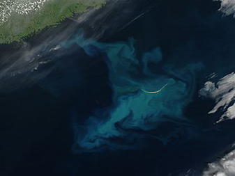 NASA MODIS Image of the Day: July 19, 2010 – Phytoplankton Bloom Around Sable Island, Nova Scotia