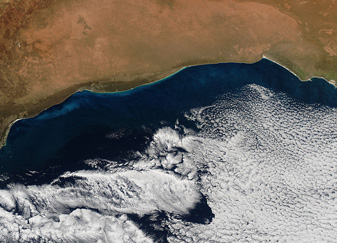 NASA MODIS Image of the Day: September 7, 2009 – Phytoplankton Bloom in the Great Australian Bight