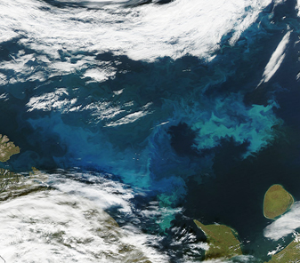 NASA MODIS Image of the Day: September 13, 2009 – Phytoplankton Bloom in the Barents Sea