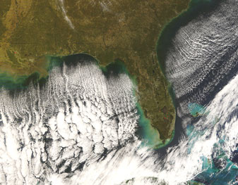NASA MODIS Image of the Day: November 19, 2008 – Cloud Streets over the Southeastern United States