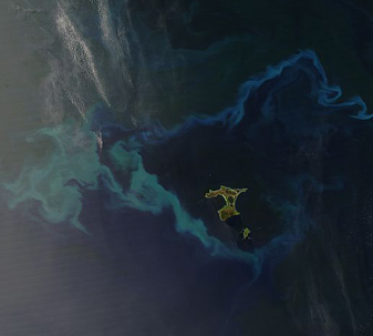 NASA MODIS Image of the Day: November 20, 2008 – Plankton Bloom Surrounds Chatham Islands