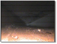 Photo of robot's 'eye' view