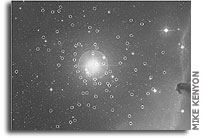 Stellar Census Detects More Red and Brown Dwarfs