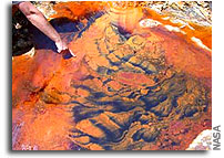 NASA Scientists to Drill for New, Exotic Life Near Acidic Spanish River