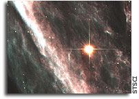 Supernova Shock Wave Paints Cosmic Portrait