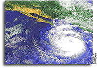 Hurricane Winds Carried Ocean Salt and Plankton Far Inland