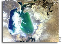 Portrait of a doomed sea