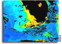 Black water turns the tide on Florida coral