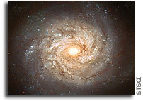 NASA/ESA Hubble Space Telescope: Waiting for a supernova