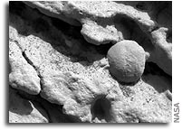 NASA Mars Rover Pictures Raise “Blueberry Muffin” Questions