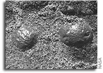 NASA Mars Opportunity Rover Examines Trench as Spirit Prepares to Dig One