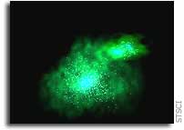 Massive Merger of Galaxies is the Most Powerful on Record