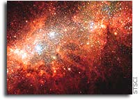 Supernova Blast Bonanza in Nearby Galaxy