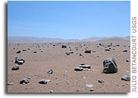 Not finding life? Dig deeper