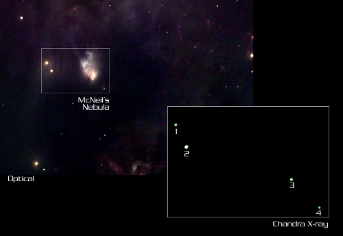 McNeil's Nebula X-ray Outburst from a Young Star