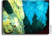 New Hydrothermal Vents Discovered as “South Pacific Odyssey” Research Begins