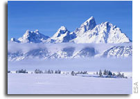 Arctic sentinels help monitor polar changes