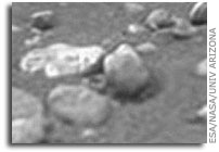 Rain, winds and haze during the descent to Titan