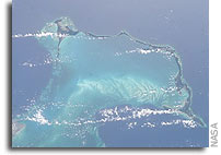 NASA satellite sees ocean plants increase, coasts greening