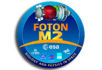 European experiments back on Earth with successful conclusion of Foton-M2 mission
