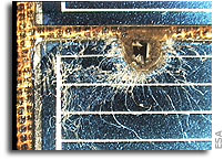 Space debris: assessing the risk