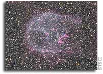 NASA Space Observatories Glimpse Afterglow of Nearby Stellar Explosion