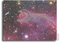 Image of Cometary Globule Marks 1,000 Online at NOAO