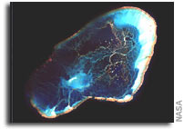 Global coral reef assessment built on NASA images