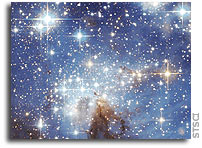 Hubble Image: Large and small stars in harmonious coexistence