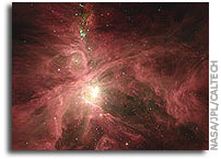 NASA’S Spitzer Digs Up Troves of Possible Solar Systems in Orion