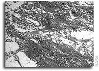 NASA Mars Rover Opportunity Status 20 February 2007