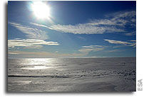 ESA contribution to International Polar Year 2007-2008