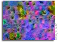 NASA Finds Hydrocarbons on Saturn’s Moon Hyperion