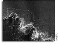 Image: Tracks Left Around Victoria Crater By Mars Exploration Rover Opportunity