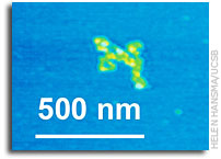 Did Life Originate in a Mica Sandwich Sitting in Primordial Soup?