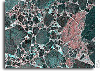 IceSAR campaign provides glimpse of future Sentinel-1 images over ice