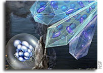 Research on “extremophiles” is redefining the limits of life on Earth