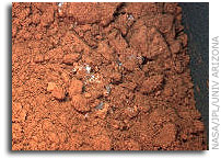 One week after landing, the NASA Mars Phoenix lander practices digging