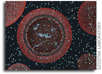 A New Way to Think About Earth’s First Cells