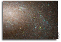 When it comes to galaxies, diversity is everywhere