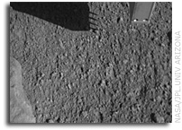 NASA’s Phoenix Mars Lander Uses Soil Probe and Swiss Scope